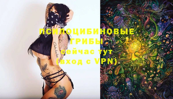 COCAINE Ладушкин