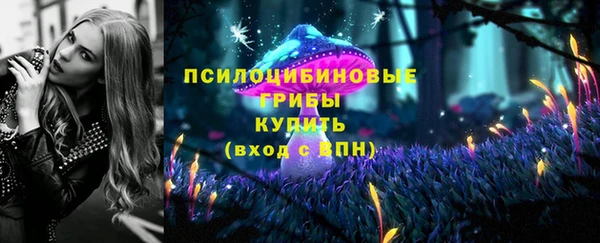 дурь Лагань