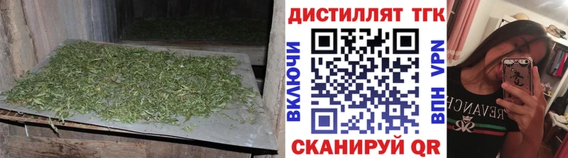 Купить закладки  Апрелевка  Дистиллят ТГК концентрат 